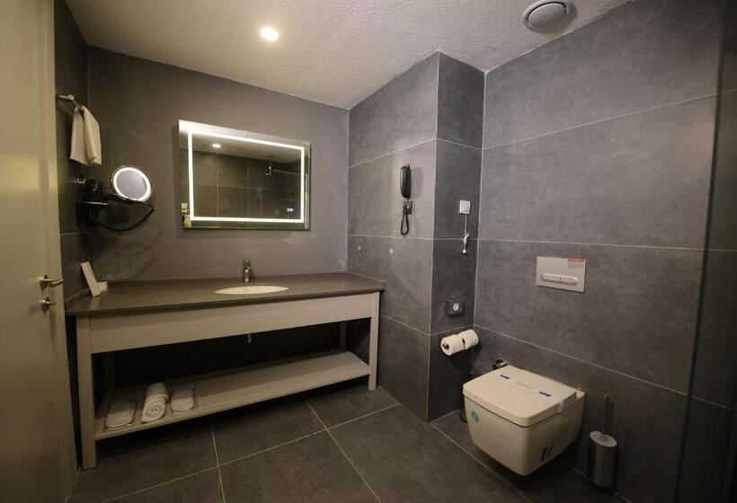 اتاق استاندارد برای معلولان, Wyndham Garden Cambasi