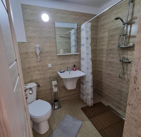 غرفة قياسية سرير كينج, Vila Roxana Busteni