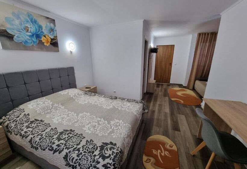 غرفة قياسية ثلاثية, Vila Roxana Busteni