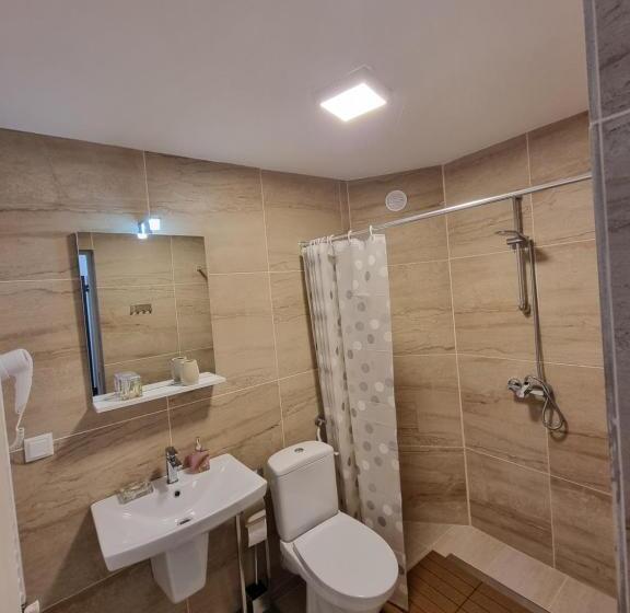 غرفة قياسية مطلة على الجبل, Vila Roxana Busteni