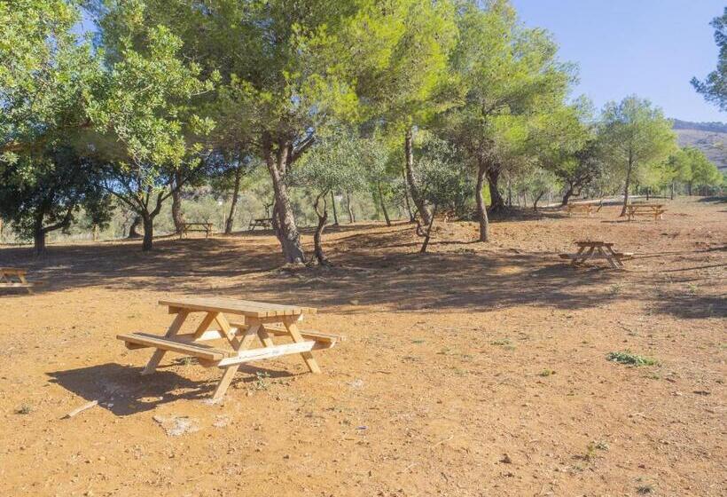 Номер Стандарт, Cubo S Kurt Rural Room 1 Garden View