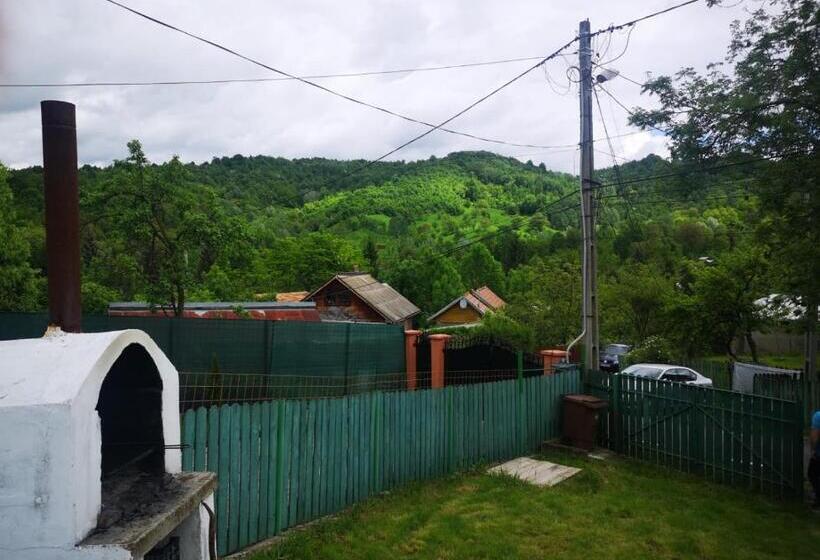 ویلای 1 خوابه با چشم‌انداز باغ, Casa Bordei