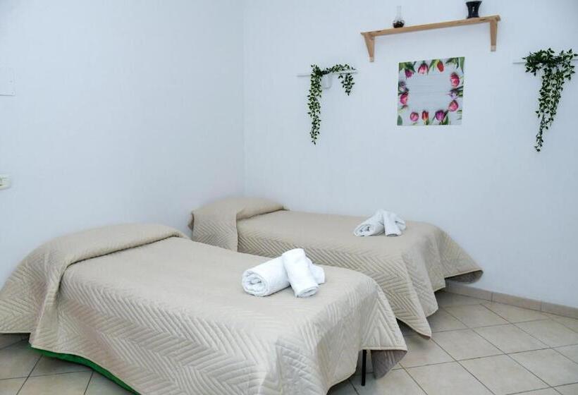 Quarto Quádruplo Clássico, B&b Damiani
