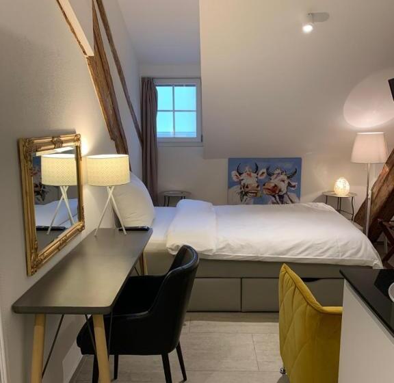 Одноместный Номер Basic, Smartroom The Residence La Cittadella Baden