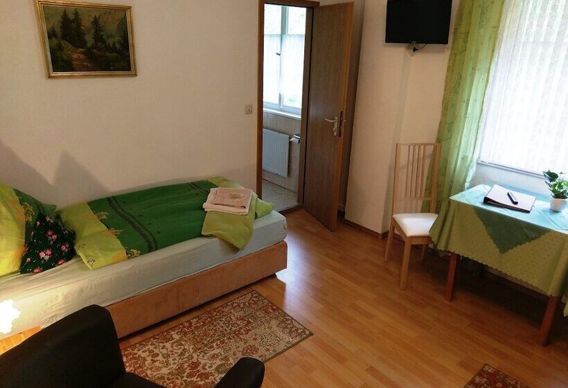 스탠다드 싱글 룸, Stahlbad Bad Peterstal