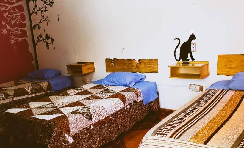اتاق استاندارد سه نفره, Huaraz Colonial