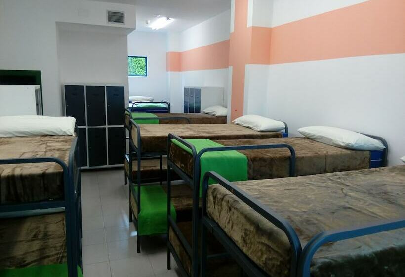 共用房间的床, Hostel De Las Facultades