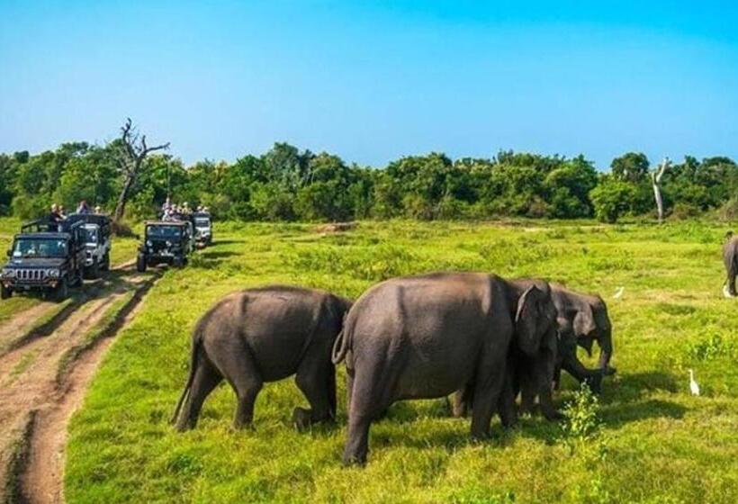 豪华三人间, Sigiriya Pikaso Homestay