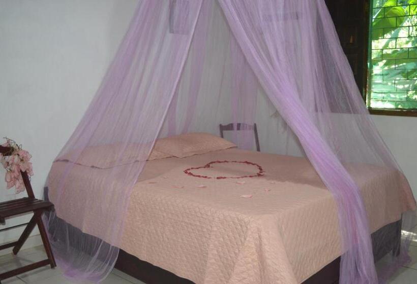 Номер Стандарт, Hostel Vivacre