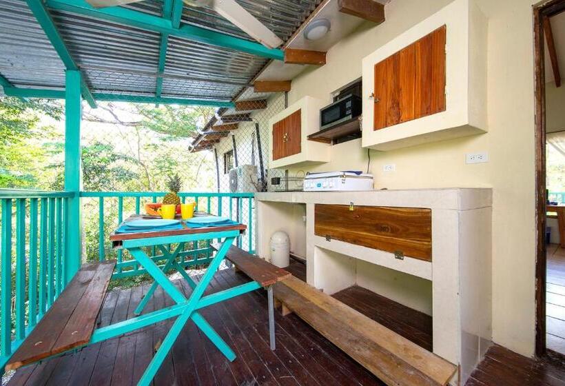 Номер Deluxe, Diversion Tropical