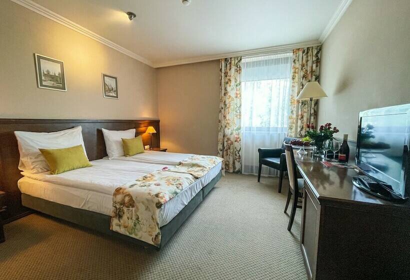 キングサイズベッドのデラックスルーム, Park Hotel & Fitness Club Rzeszów