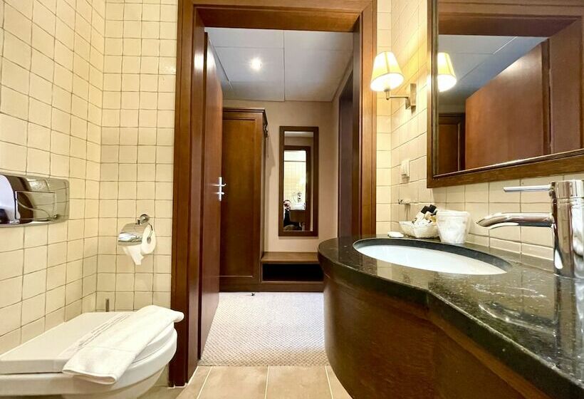 デラックスルーム, Park Hotel & Fitness Club Rzeszów