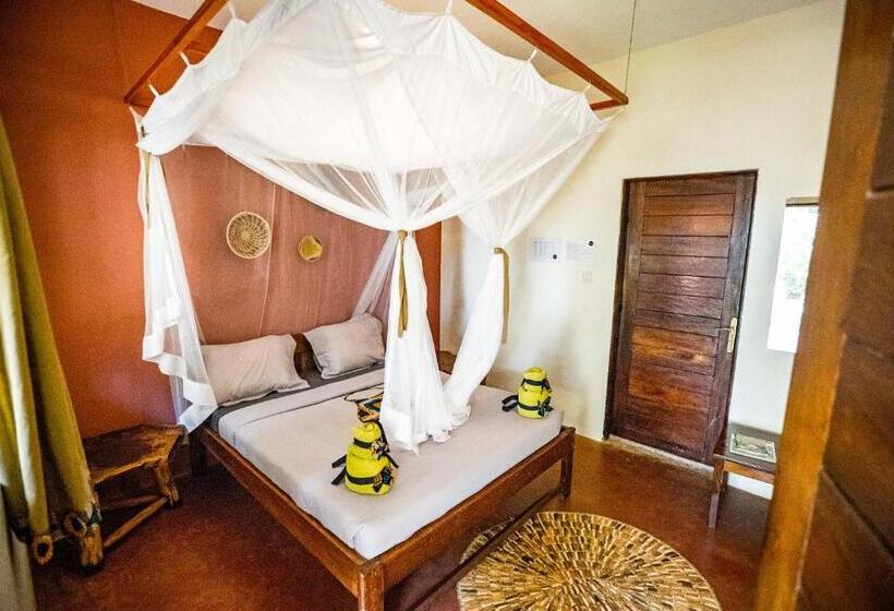 اتاق استاندارد اینتریور, Viavia  Entebbe