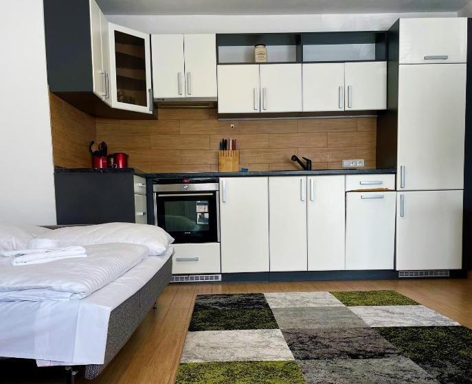 Apartamento 1 Quarto Rés-do-chão, Star Lipno