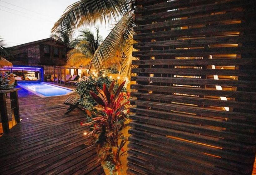 استودیو استاندارد با تخت کینگ, Pur Boutique Cabanas, Adults Only