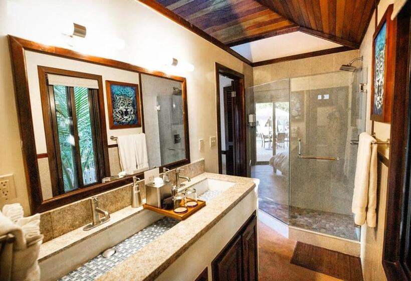 استودیو استاندارد با تخت کینگ, Pur Boutique Cabanas, Adults Only