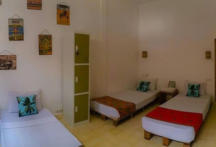 Кровать в Общей Комнате, La Favela   Hostel