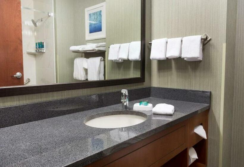 Люкс Кровать Кинг, Drury Inn & Suites Burlington