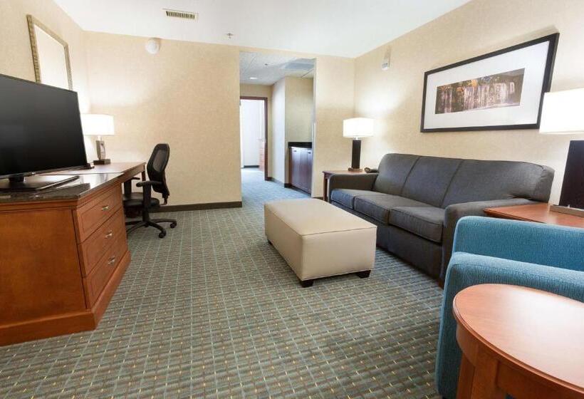 Люкс Адаптированный для Инвалидов, Drury Inn & Suites Burlington