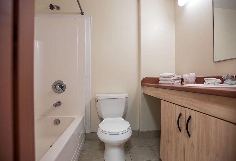 스탠다드 싱글 룸 공동욕실, Mount Saint Vincent University Residence   Hostel