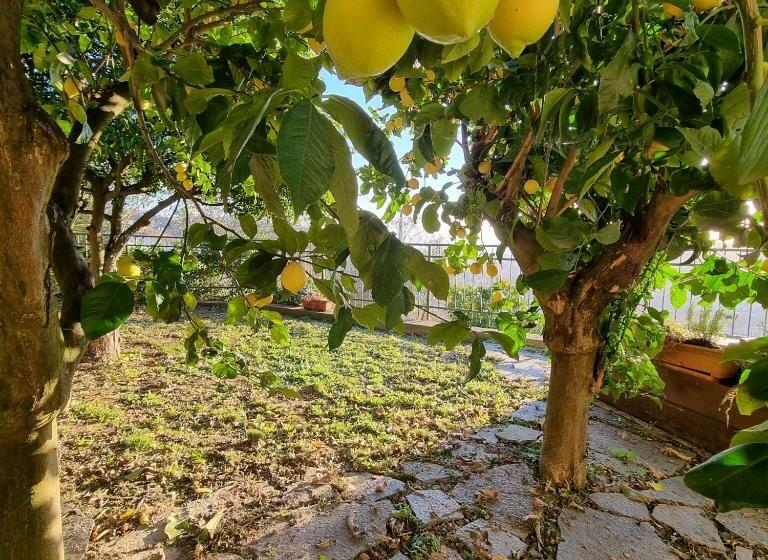 豪华房间, B&b La Terrazza Sui Fieschi