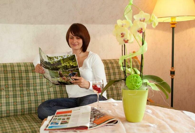 Номер Стандарт Индивидуальный, Waldhotel Rennsteighof