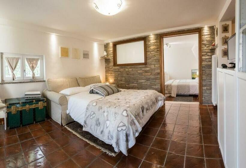 جناح, Assisi Charme