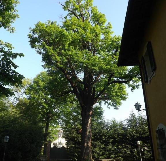 풀장 전망 스위트, Villa Mirano Bed & Breakfast