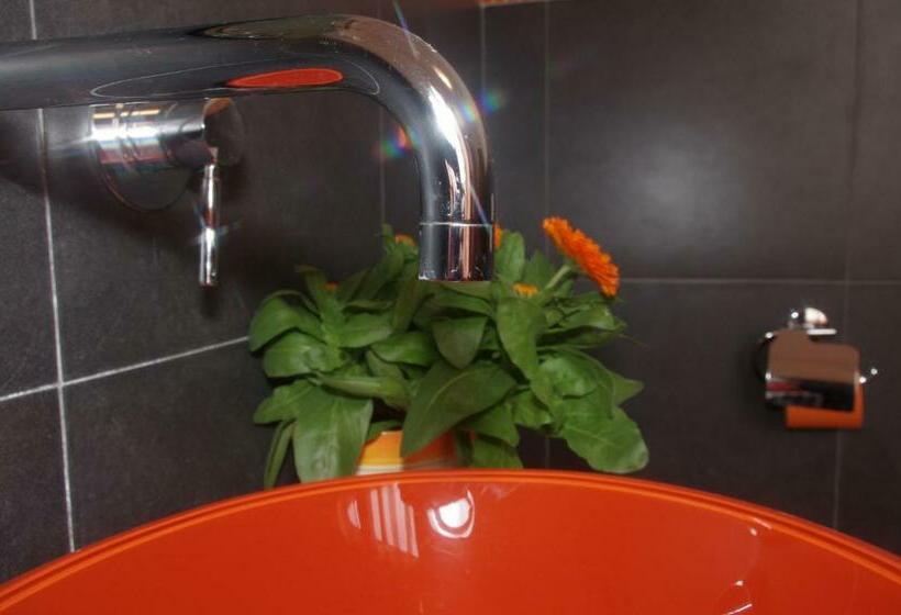 اتاق استاندارد, I Colori Di Mag