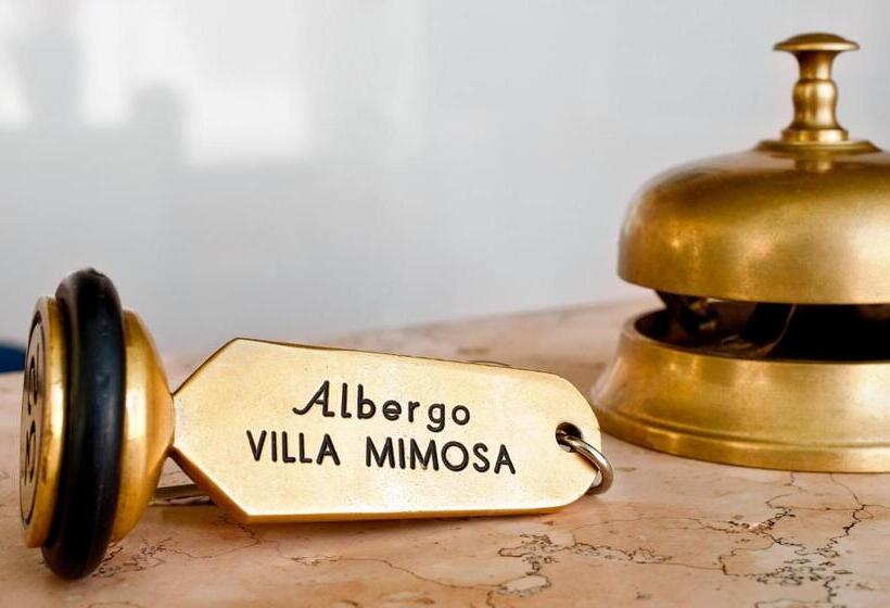 Pokój Standard Jednoosobowy, Albergo Villa Mimosa