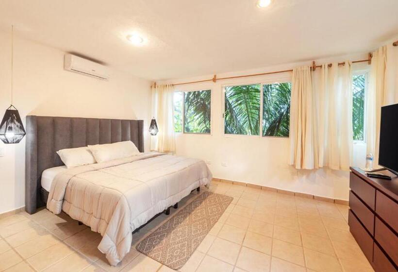 شقة غرفة واحدة, Caracol Puerto Morelos