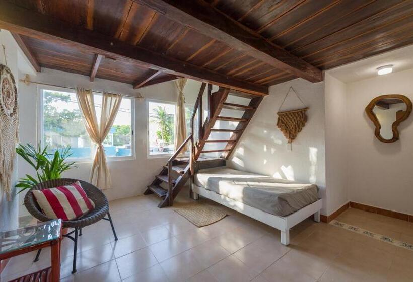 إستوديو قياسى, Caracol Puerto Morelos
