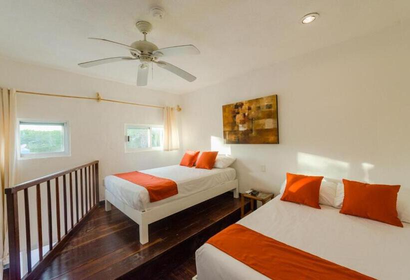 إستوديو قياسى, Caracol Puerto Morelos
