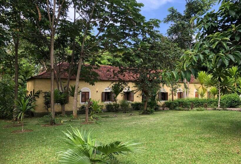 اتاق سوپریور با چشم‌انداز باغ, Belo Monte Hotel And Museum