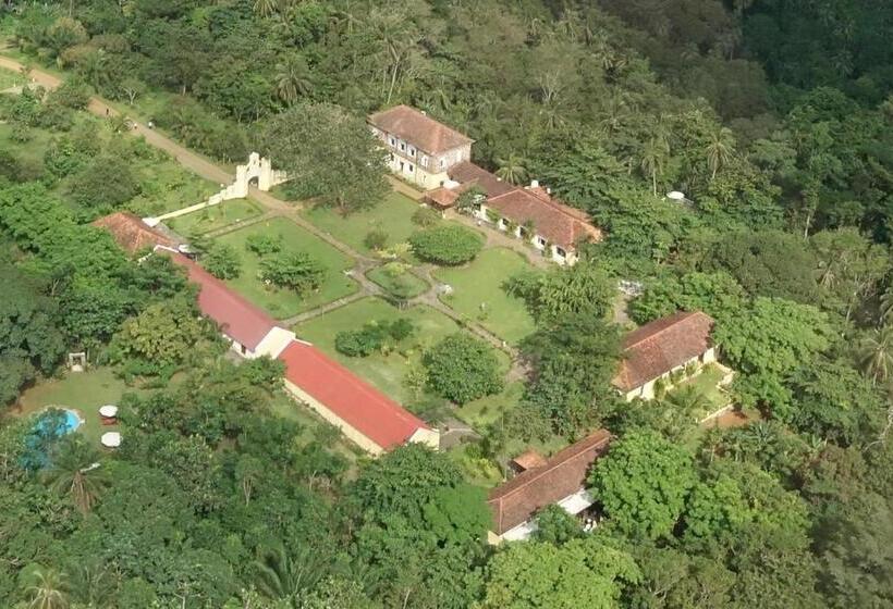 اتاق سوپریور با چشم‌انداز باغ, Belo Monte Hotel And Museum