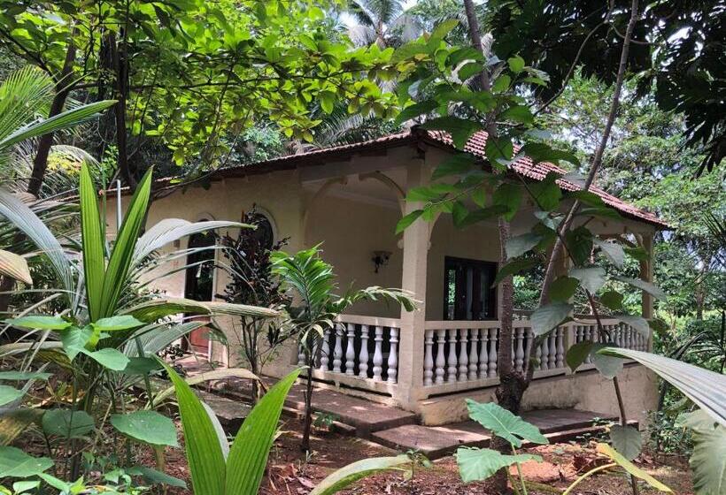 استودیوی استاندارد با چشم‌انداز دریا, Belo Monte Hotel And Museum
