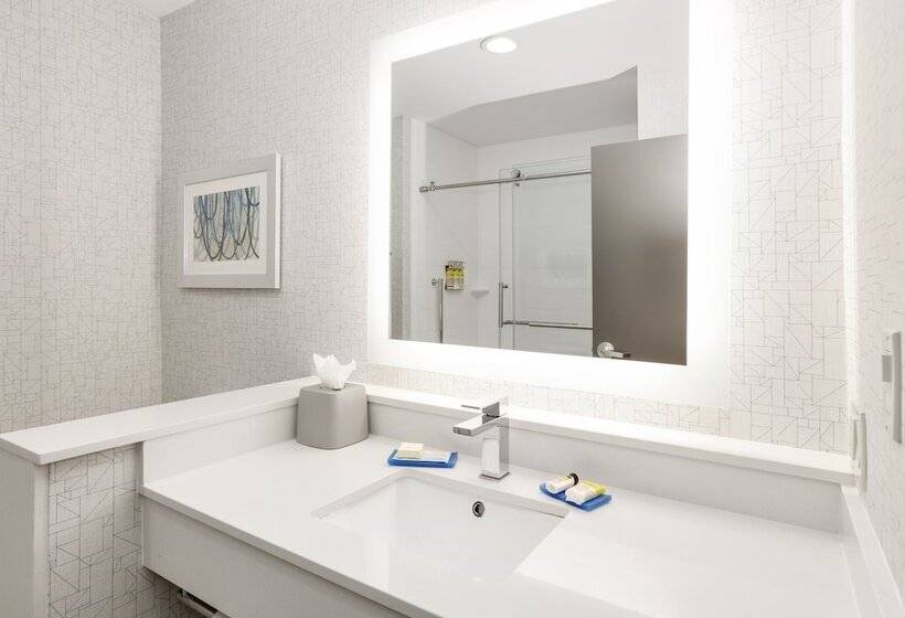 Номер Стандарт, Holiday Inn Express & Suites Dallas Nw   Farmers Branch, An Ihg