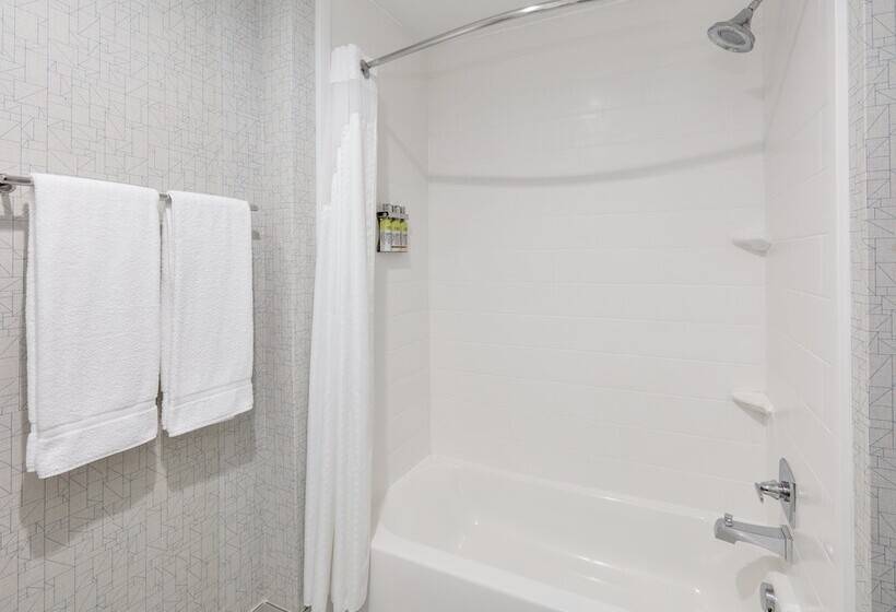 Люкс, Holiday Inn Express & Suites Dallas Nw   Farmers Branch, An Ihg