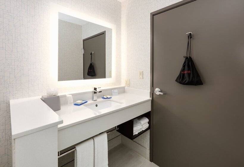 Люкс, Holiday Inn Express & Suites Dallas Nw   Farmers Branch, An Ihg