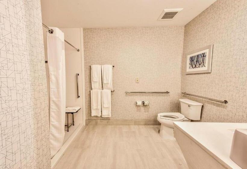 Номер Стандарт Кровать Кинг Адаптированный для Инвалидов, Holiday Inn Express & Suites Dallas Nw   Farmers Branch, An Ihg