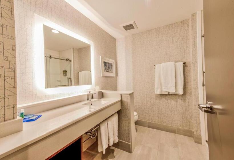 Стандартный Номер Кровать Кинг, Holiday Inn Express & Suites Dallas Nw   Farmers Branch, An Ihg