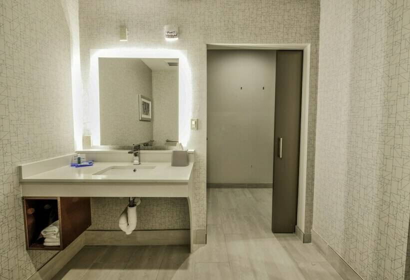 Номер Стандарт, Holiday Inn Express & Suites Dallas Nw   Farmers Branch, An Ihg