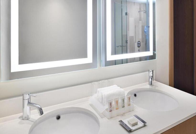 Апартаменты 1 Спальня, Holiday Inn & Suites   Dubai Festival City Mall, An Ihg