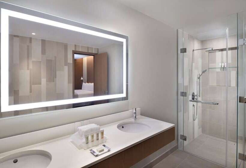 Номер Премиум Вид на Город, Holiday Inn & Suites   Dubai Festival City Mall, An Ihg