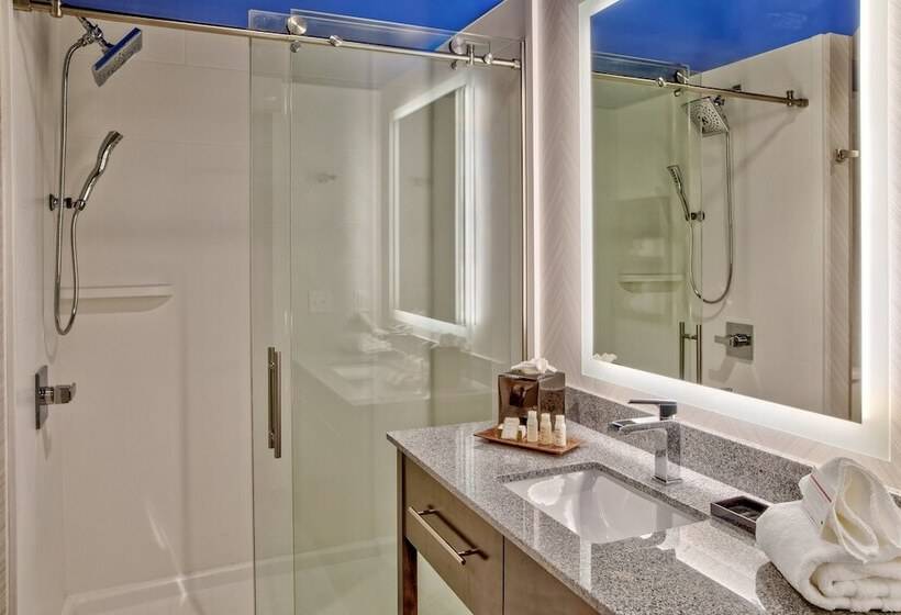 Люкс, Indigo Pittsburgh University   Oakland, An Ihg