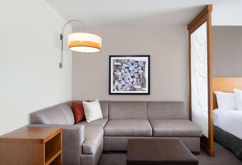 Номер Стандарт, Hyatt Place Westminster Denver