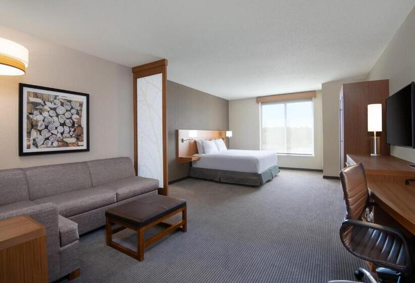 Номер Стандарт Кровать Кинг Адаптированный для Инвалидов, Hyatt Place Westminster Denver