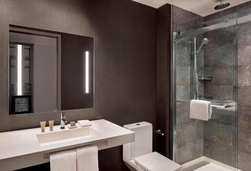 장애인을 위한 스탠다드 룸, Ac Hotel By Marriott Gainesville Downtown