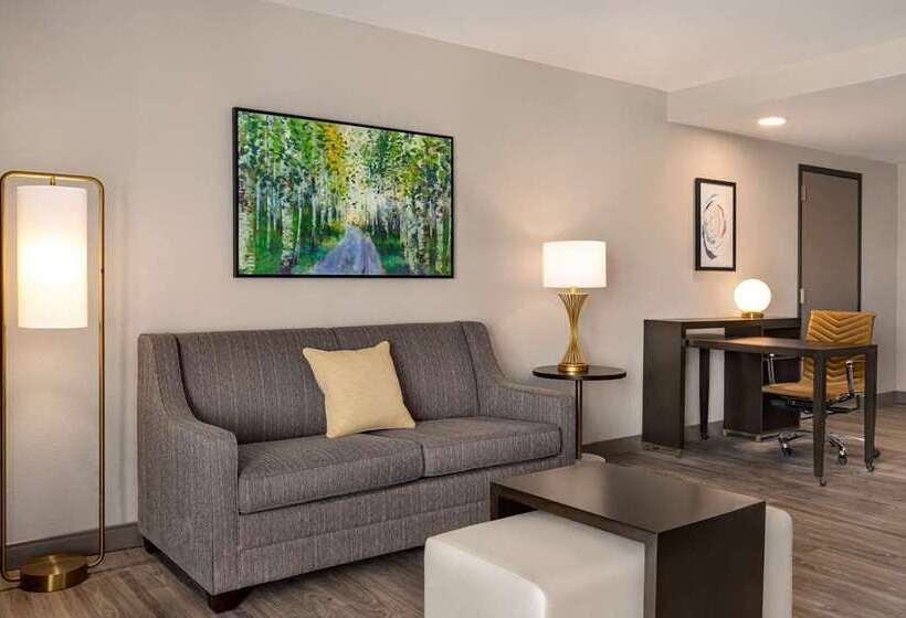 Standard Stúdiószoba Franciaággyal King Size, Home2 Suites By Hilton Mt Pleasant Charleston