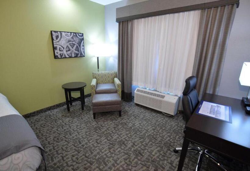 스탠다드 룸 킹사이즈 침대, Best Western Plus Bay City Inn & Suites